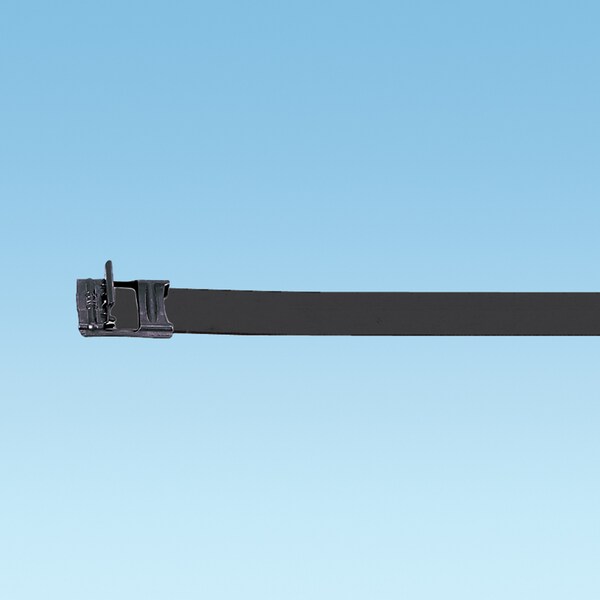 MS Strapping, 316 SS, Nylon FC, .50" (12